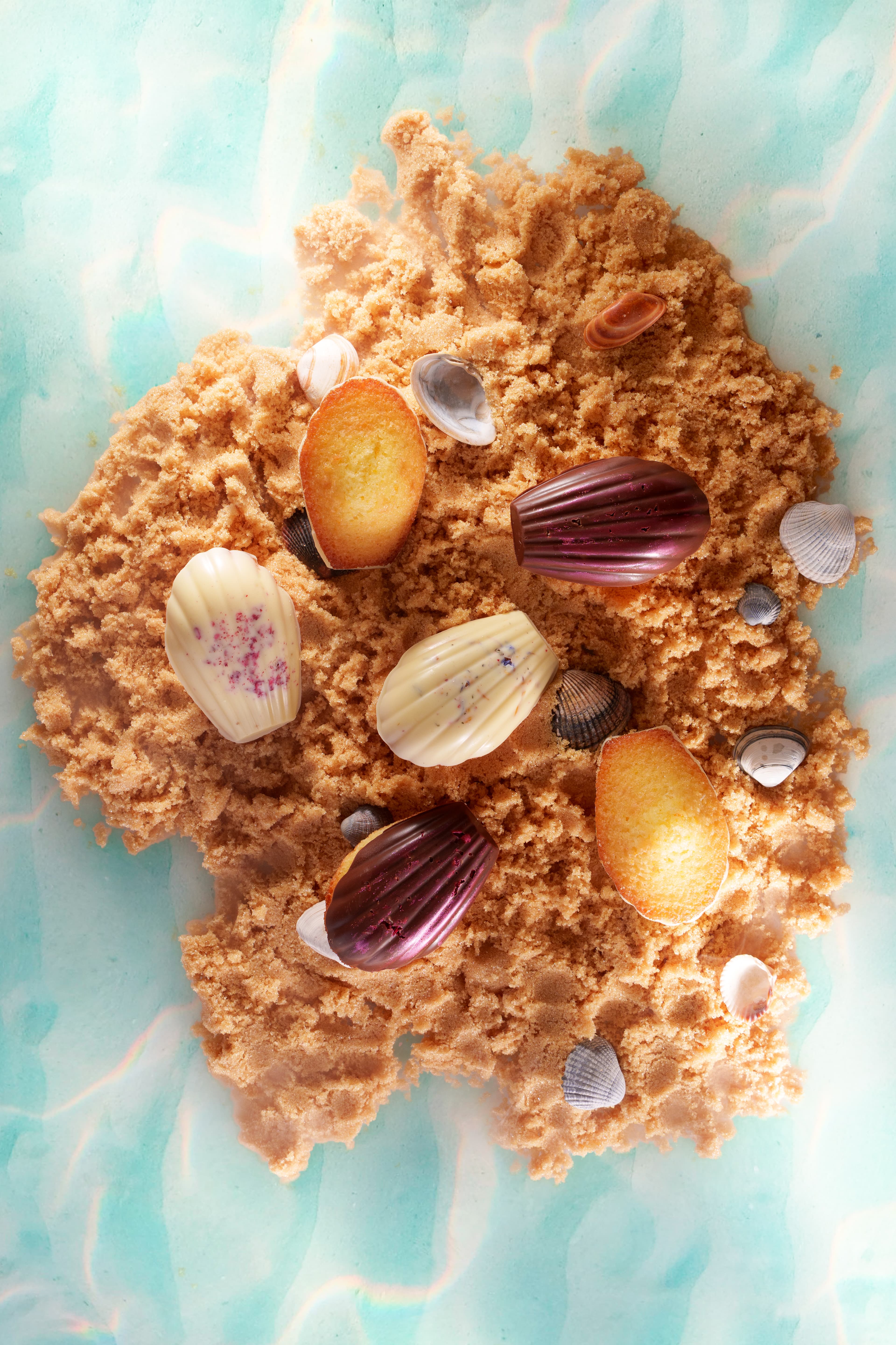 Photographe, Valenciennes